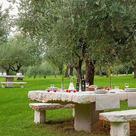 Apartment Olea Dei Holiday