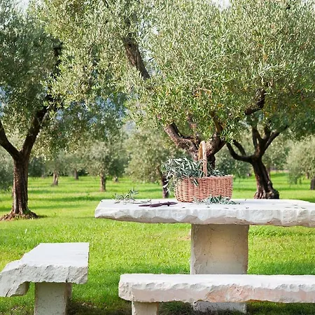 Olea Dei Appartement