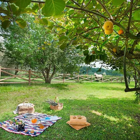 Apartment Olea Dei Holiday San Felice del Benaco
